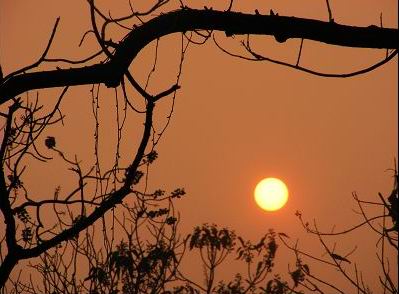 伟德bv国际体育