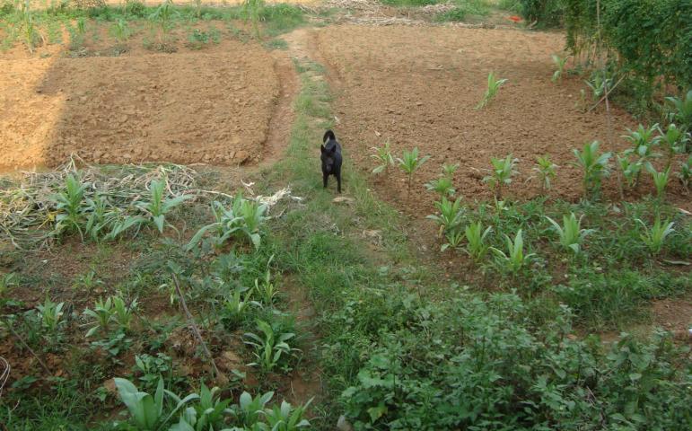 伟德bv国际体育