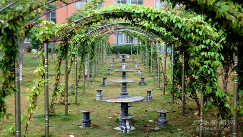 伟德bv国际体育