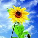 伟德bv国际体育