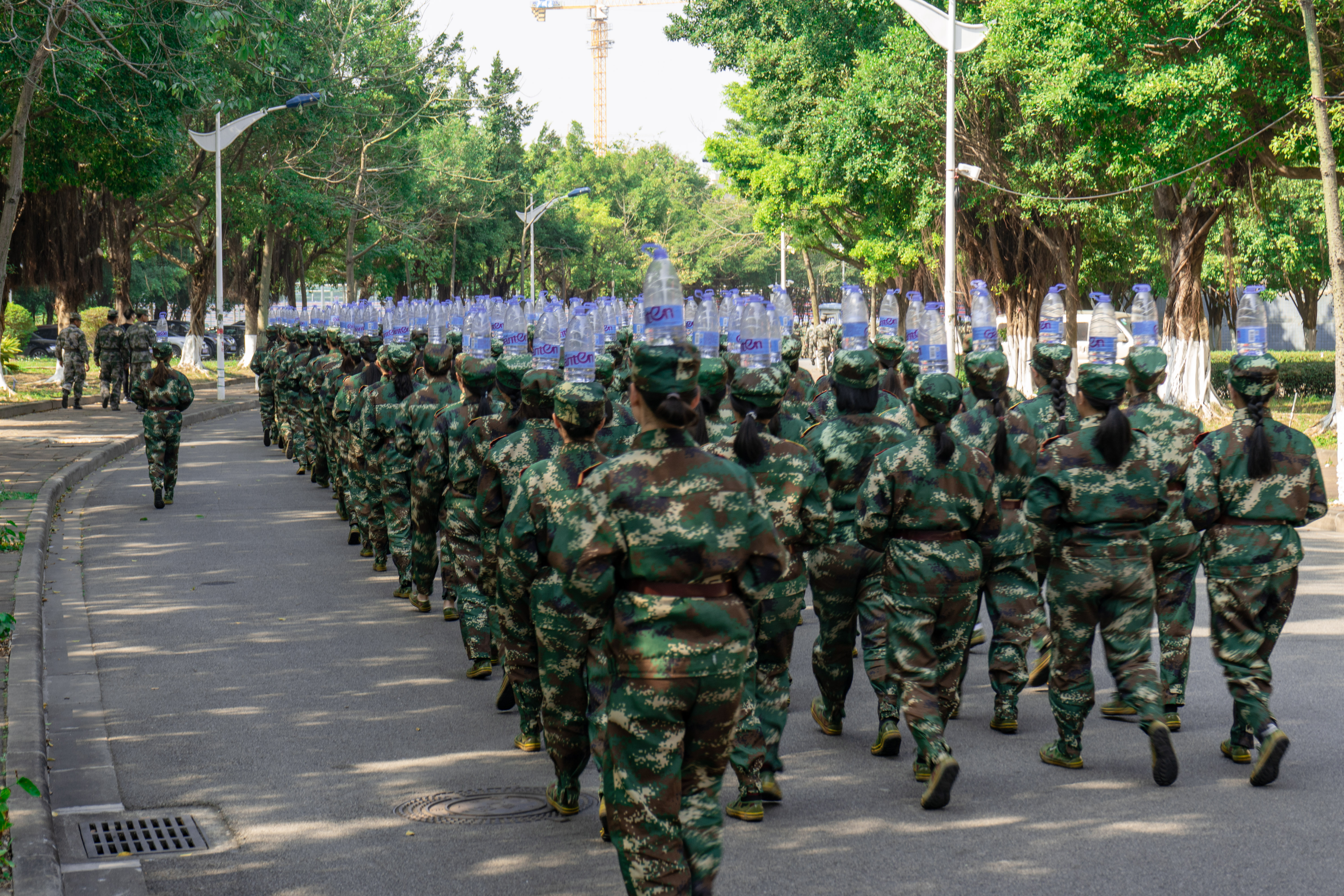 伟德bv国际体育