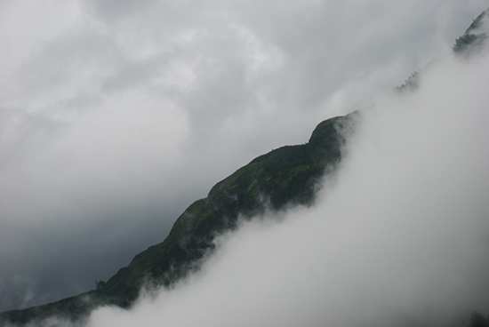 伟德bv国际体育