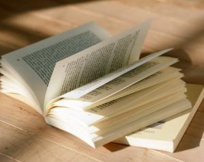 伟德bv国际体育