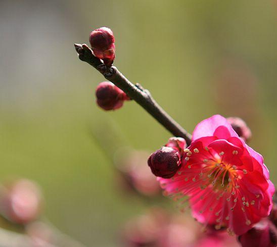 伟德bv国际体育