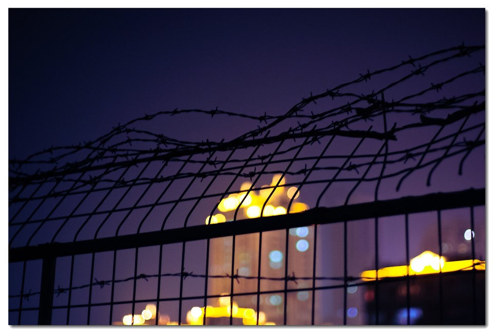 伟德bv国际体育