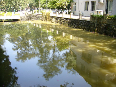 伟德bv国际体育