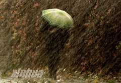 伟德bv国际体育