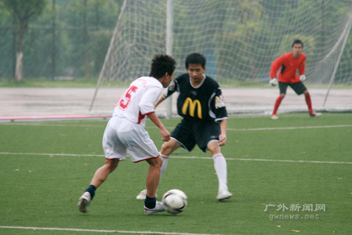 伟德bv国际体育