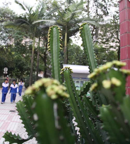 伟德bv国际体育