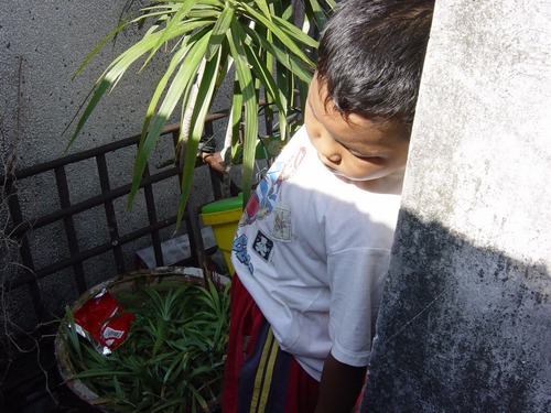 伟德bv国际体育