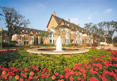 伟德bv国际体育