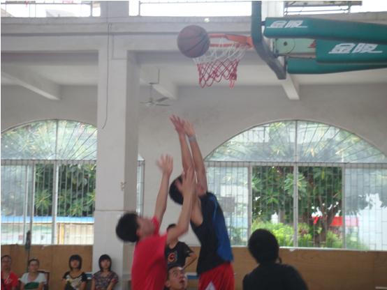 伟德bv国际体育