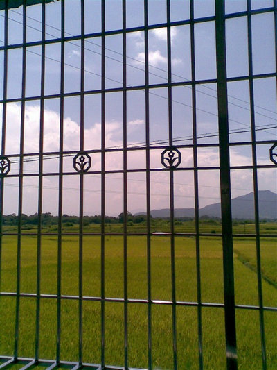 伟德bv国际体育