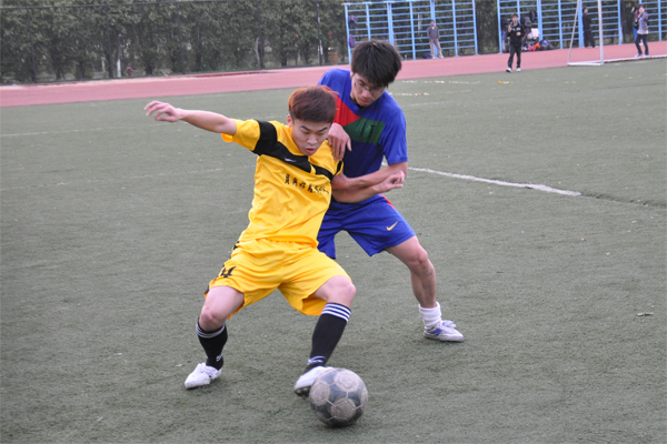 伟德bv国际体育