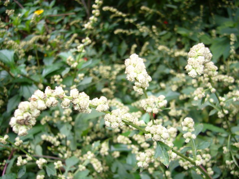 伟德bv国际体育