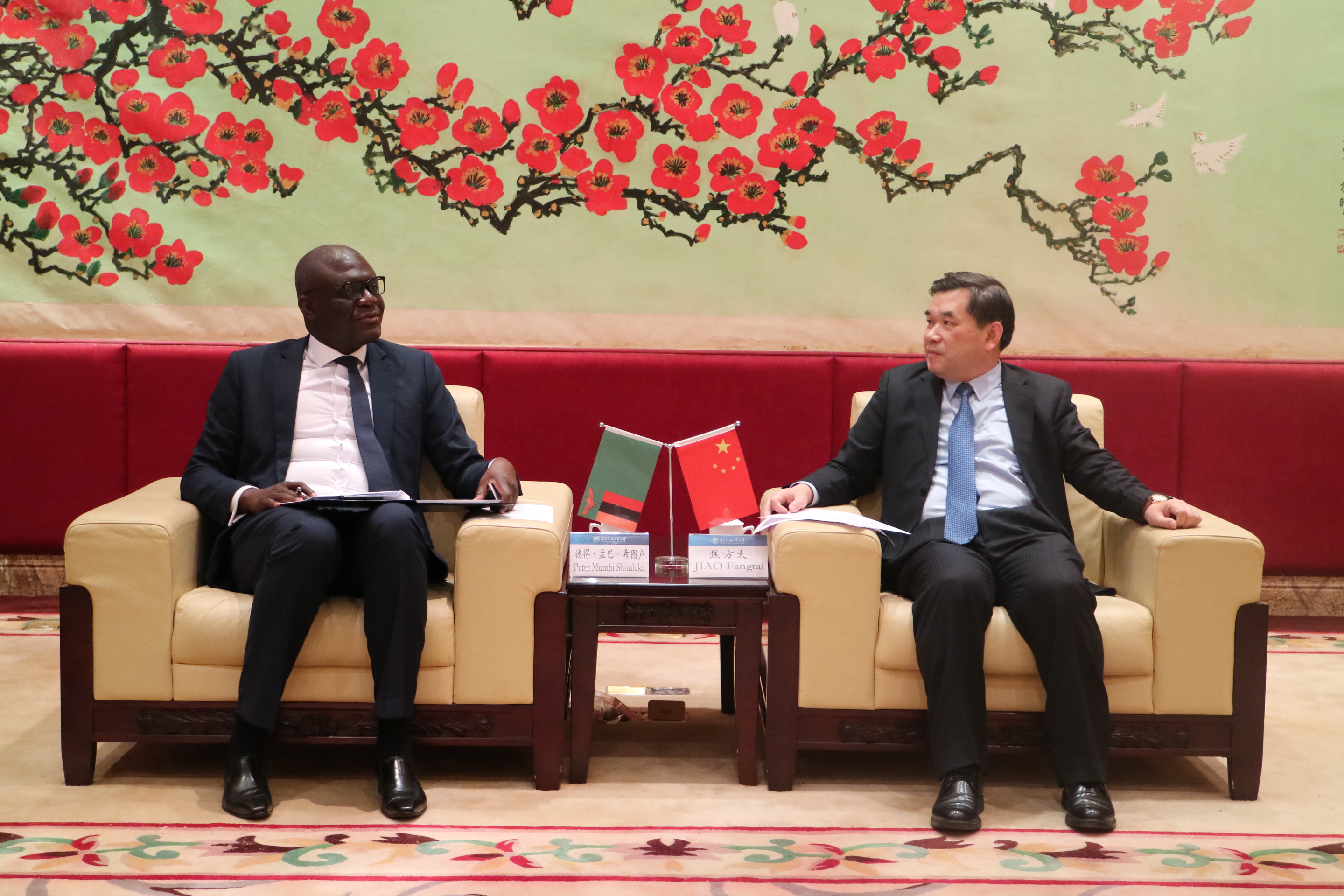 伟德bv国际体育