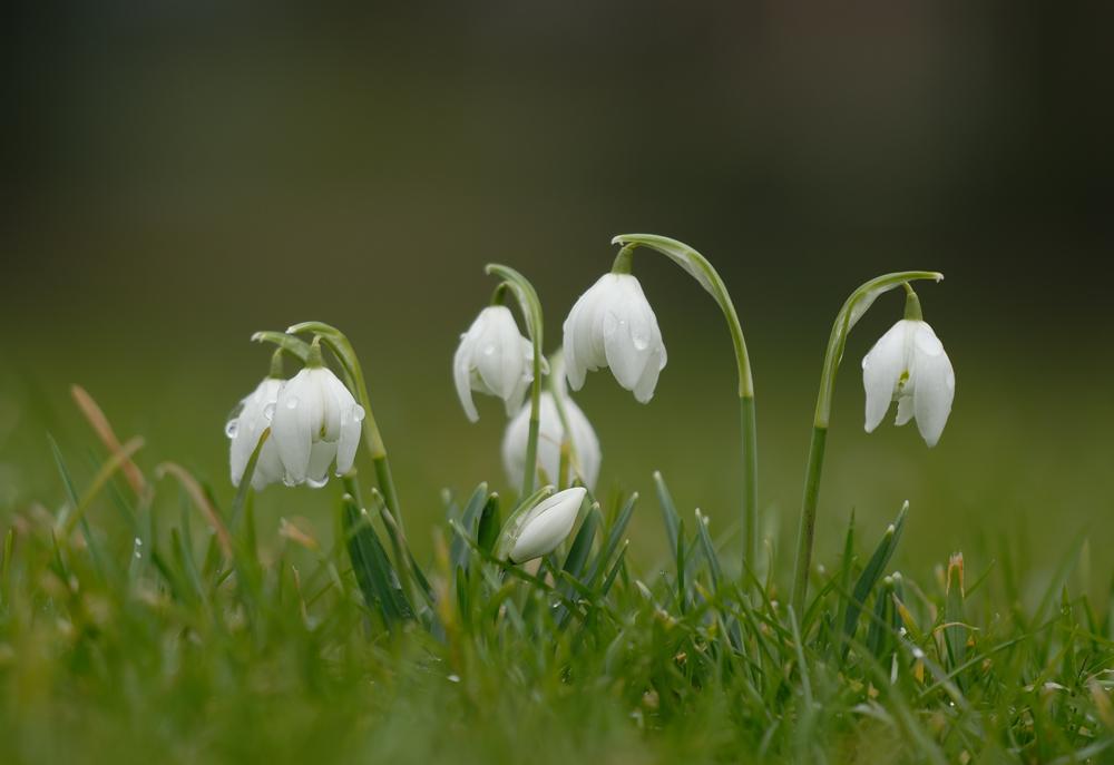 伟德bv国际体育