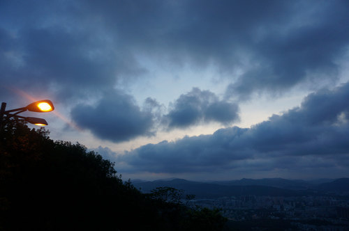 伟德bv国际体育