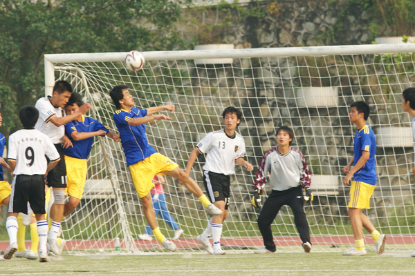 伟德bv国际体育