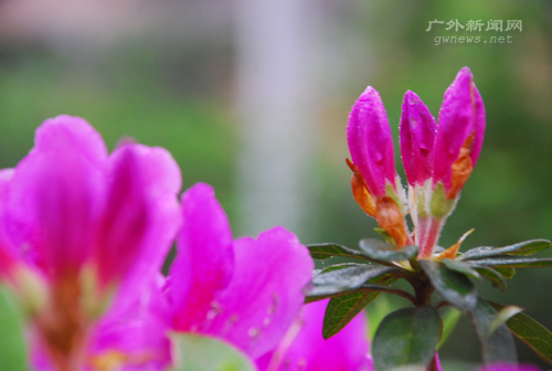 伟德bv国际体育