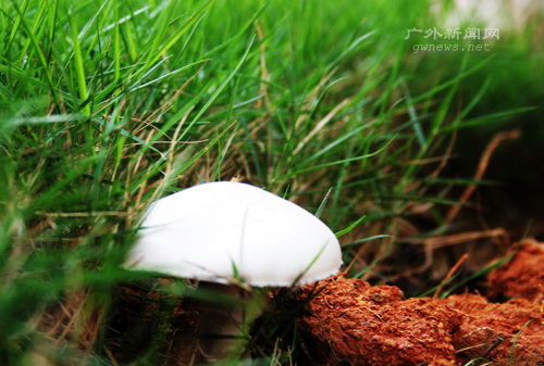 伟德bv国际体育