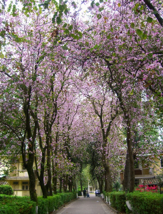 伟德bv国际体育