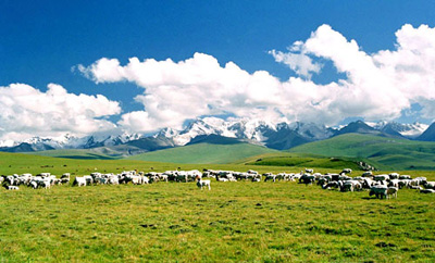 伟德bv国际体育