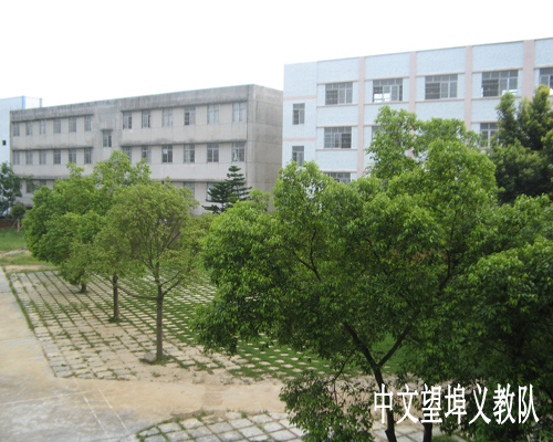 伟德bv国际体育