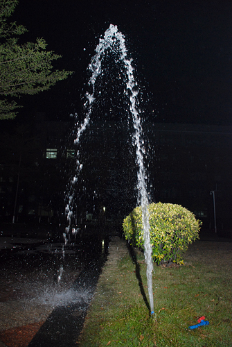 伟德bv国际体育