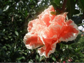 伟德bv国际体育