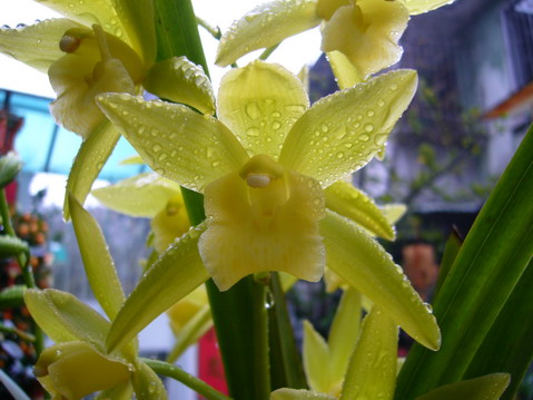 伟德bv国际体育