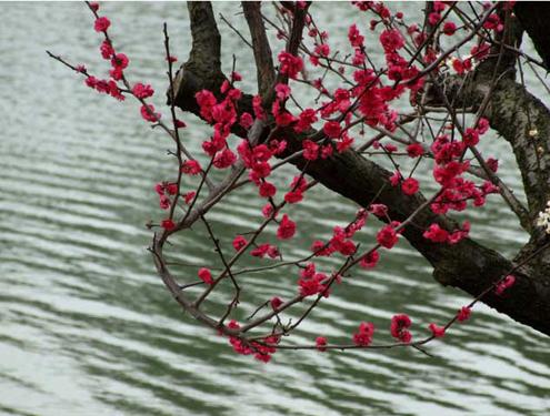 伟德bv国际体育