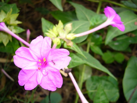 伟德bv国际体育