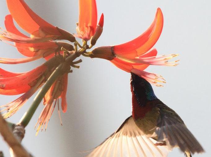 伟德bv国际体育