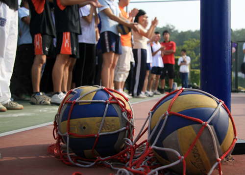 伟德bv国际体育