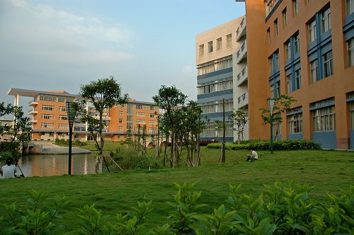 伟德bv国际体育