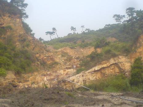 伟德bv国际体育