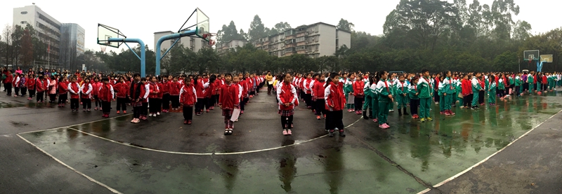 伟德bv国际体育