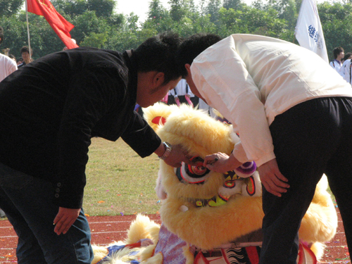 伟德bv国际体育