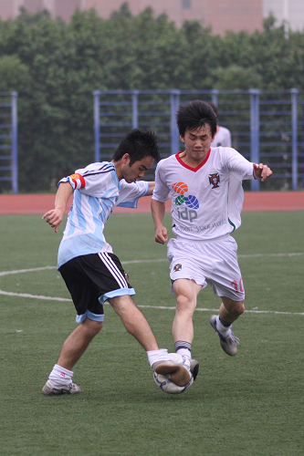 伟德bv国际体育