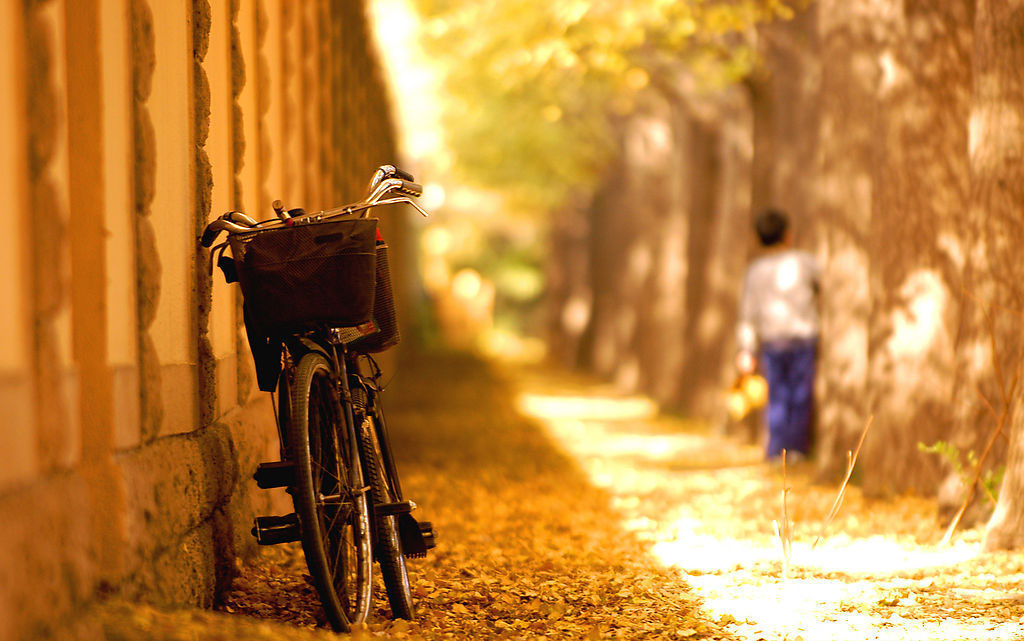 伟德bv国际体育