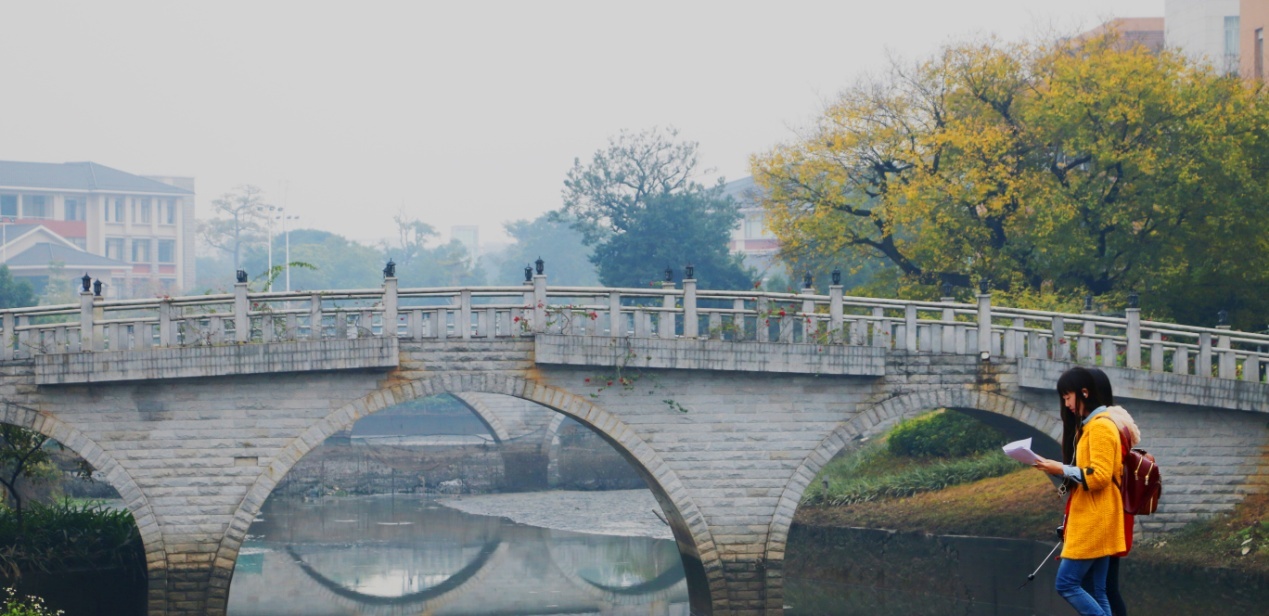 伟德bv国际体育