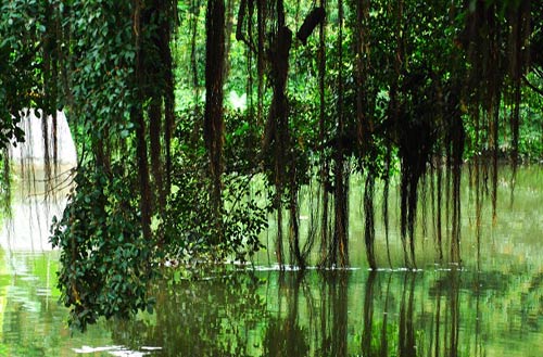 伟德bv国际体育