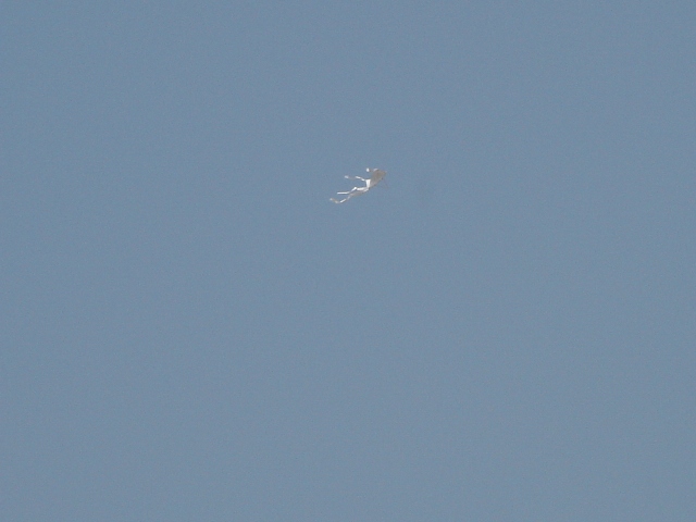 伟德bv国际体育