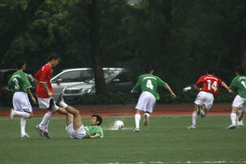 伟德bv国际体育