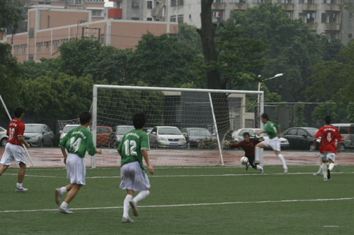 伟德bv国际体育