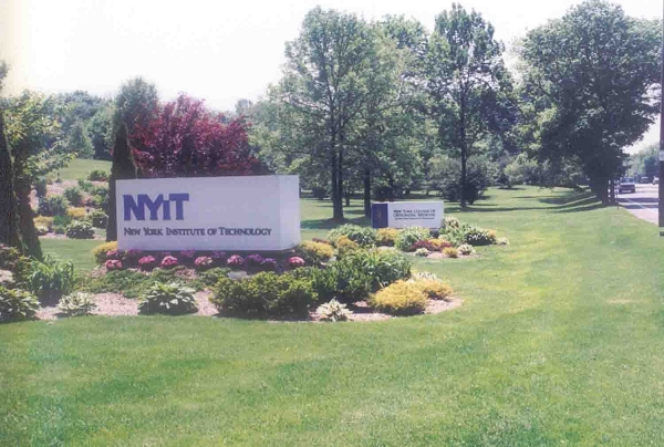 伟德bv国际体育