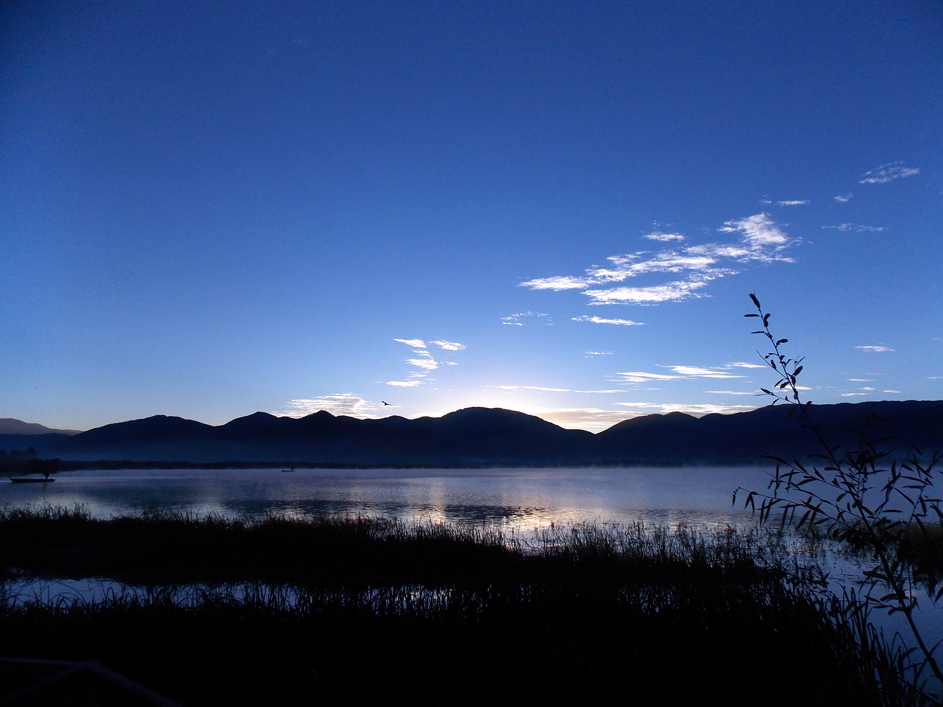 伟德bv国际体育