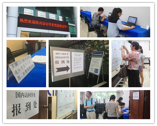 伟德bv国际体育