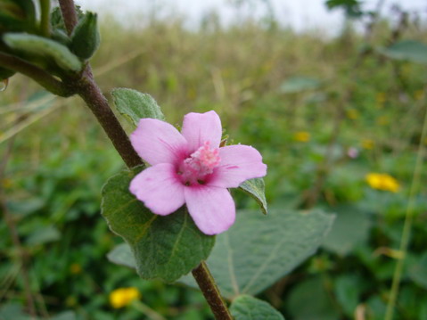 伟德bv国际体育